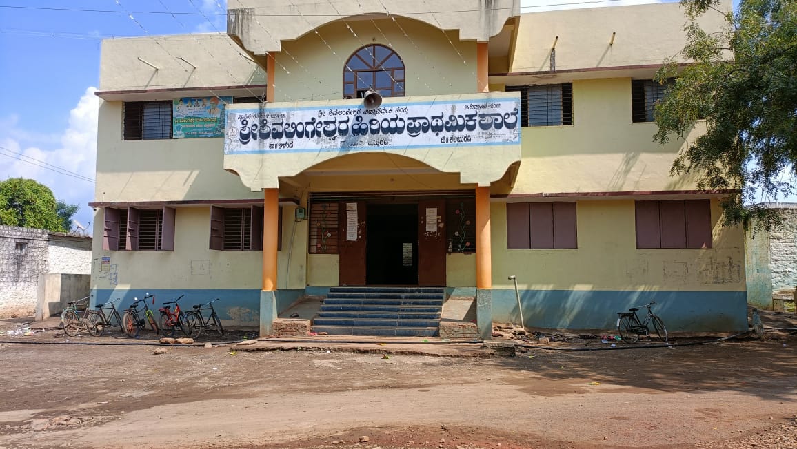 WhatsApp Image 2024-10-23 at 2.20.46 PM